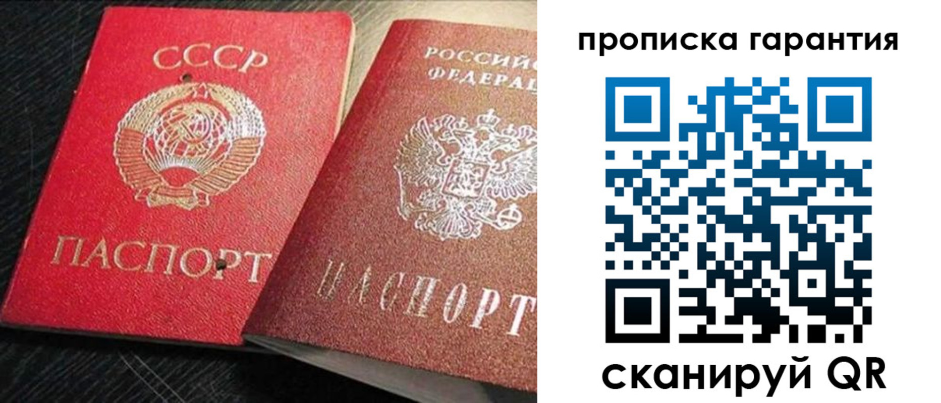 прописка 2025 в Электрогорске